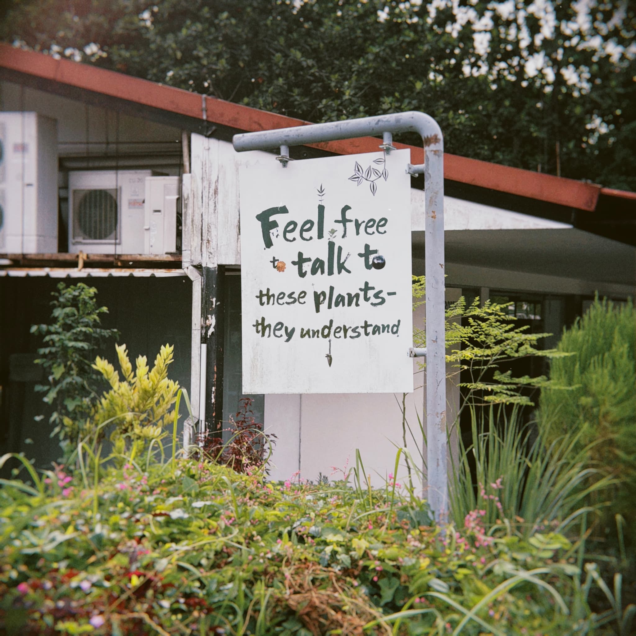A white sign with a metal frame stands amidst lush greenery and flowers, bearing the message Feel free to talk to these plants - they understand The sign is positioned in front of a building featuring a red roof and brown siding